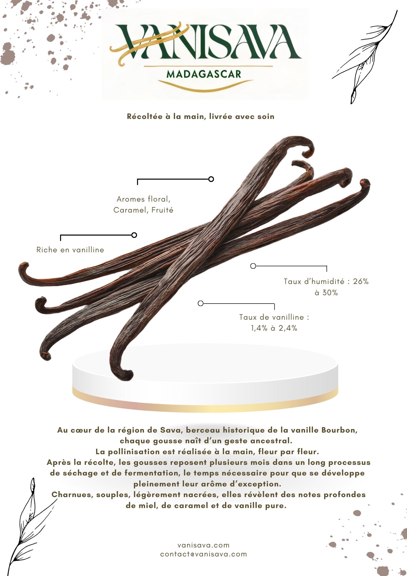 Fiche produit Vanille TK Noir Vanisava